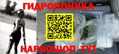 PSILOCYBIN Краснодар