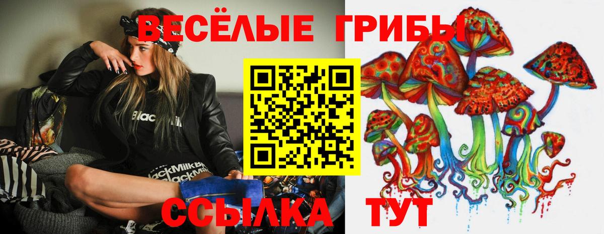 Знаменск  Псилоцибиновые грибы ЛСД  Галлюциногенные грибы Magic Shrooms  Вход с VPN 